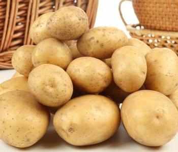 土豆吃多了会长胖吗