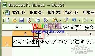 Excel2003单元格输入文字后自动调整合适行高和列宽