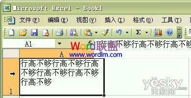 Excel2003单元格输入文字后自动调整合适行高和列宽