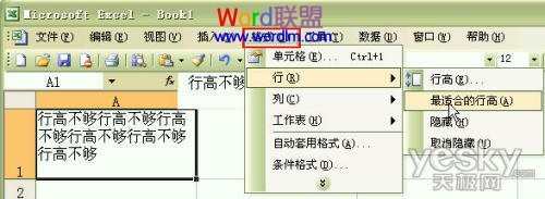 Excel2003单元格输入文字后自动调整合适行高和列宽