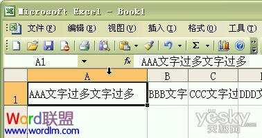 Excel2003单元格输入文字后自动调整合适行高和列宽