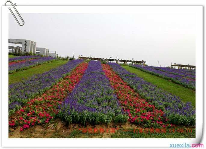 游绿色生态休闲基地：石家庄市植物园自驾游