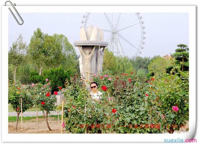 游绿色生态休闲基地：石家庄市植物园自驾游