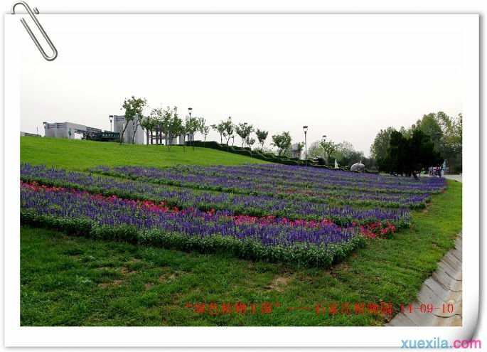 游绿色生态休闲基地：石家庄市植物园自驾游