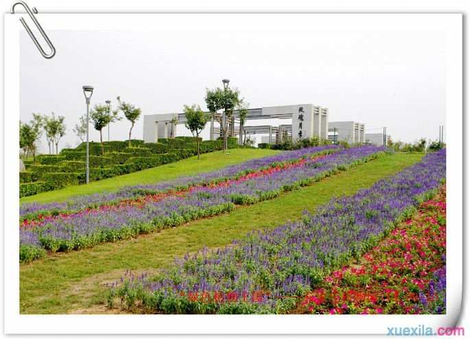 游绿色生态休闲基地：石家庄市植物园自驾游