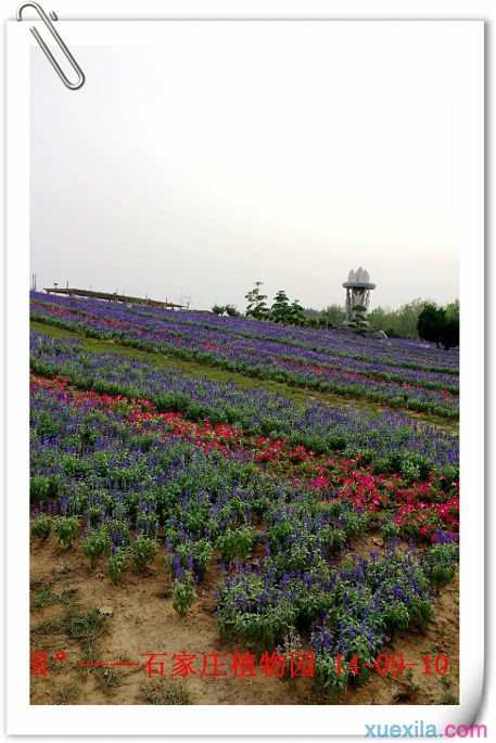 游绿色生态休闲基地：石家庄市植物园自驾游