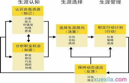 职业规划怎么有效地写