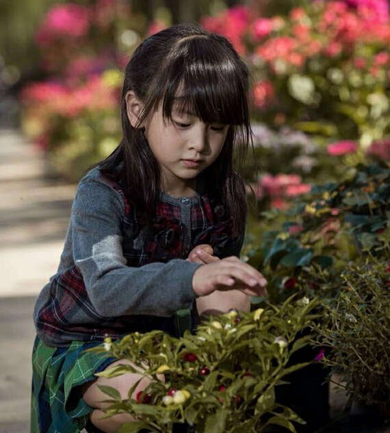 《抓妖记》小萌妖森碟田雨橙壁纸