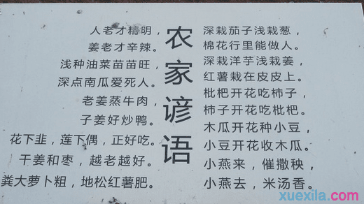 常见的谚语收藏