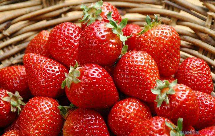 草莓的英文单词及发音