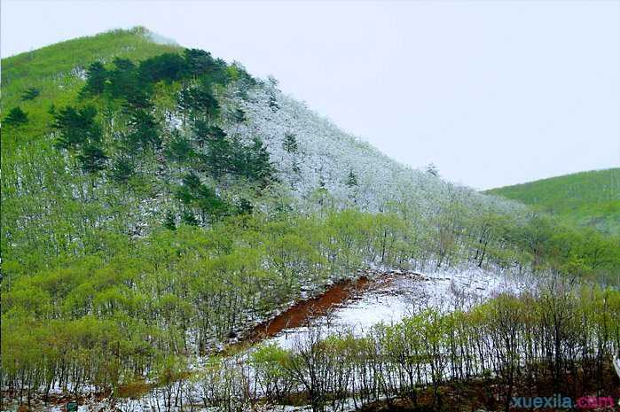 北方春天散文随笔 踏雪寻春