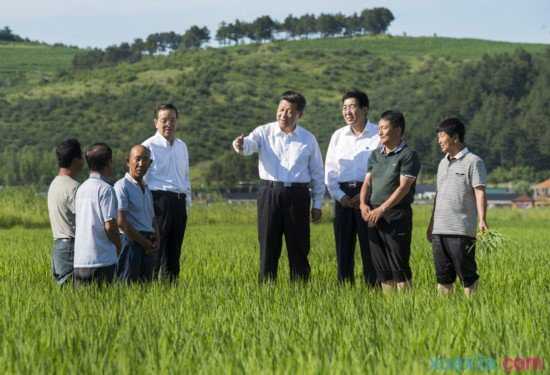 关于习近平的“三农观”