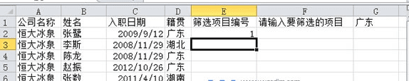 Excel2010中自定义进行筛选并依次编号