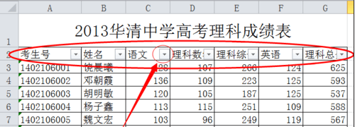 怎么使用excel2010自动筛选功能