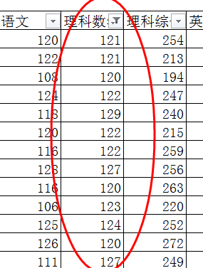 怎么使用excel2010自动筛选功能