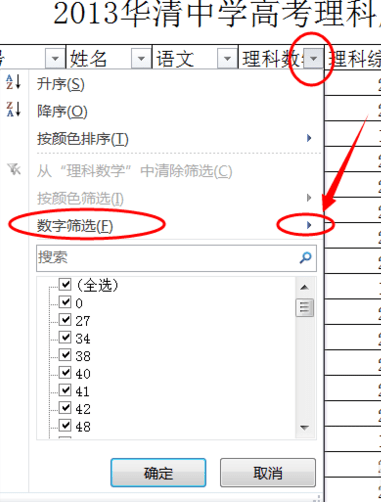 怎么使用excel2010自动筛选功能