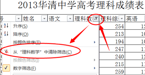 怎么使用excel2010自动筛选功能