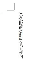 怎么设置Word文字竖向