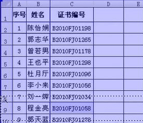 excel如何导入图片表格