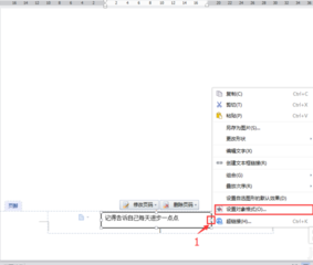 怎样在WPS文字页脚设置重要说明