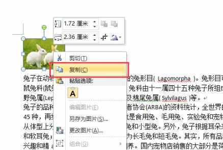 word2010怎么把文字替换成图片