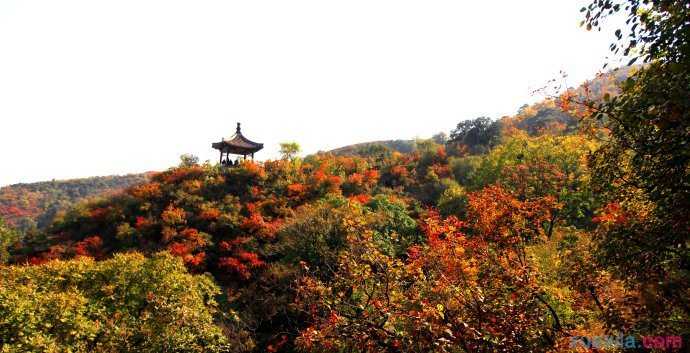 秋天去哪里旅游好