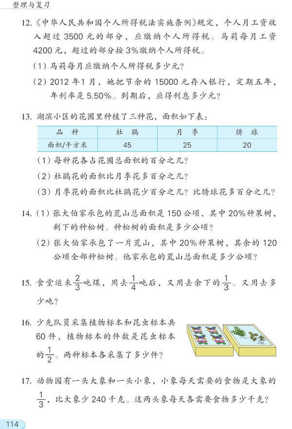 六年级上册数学复习资料