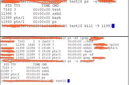 如何在linux下操作和查看自己的进程