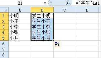 怎么在excel2010中批量加入固定字符