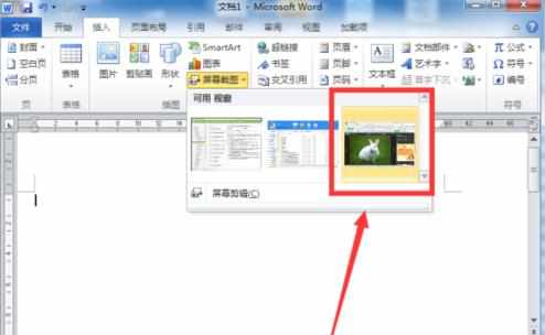 Word2010怎么用屏幕截图功能插入图片