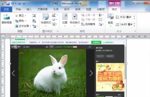 Word2010怎么用屏幕截图功能插入图片