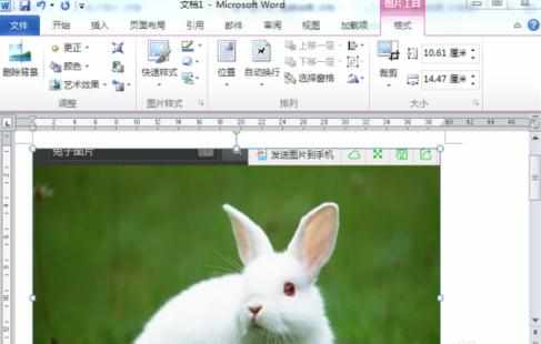 Word2010怎么用屏幕截图功能插入图片