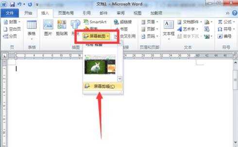 Word2010怎么用屏幕截图功能插入图片