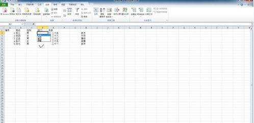 Excel2010怎么建立下拉列表输入固定格式的数据