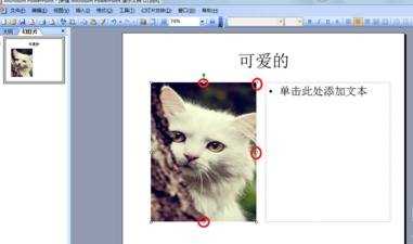 ppt2013怎么设置文字环绕效果