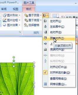 ppt2007怎样制作烧焦图片效果的方法