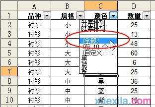 自动筛选怎么用excel