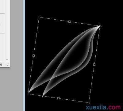 PS利用自由变换工具制作梦幻翅膀图形效果