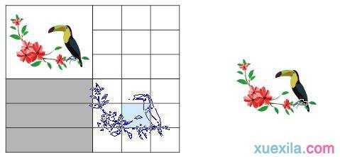 如何在CorelDRAW X7表格中添加图像和背景