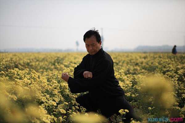 陈氏太极拳小架之搂膝拗步