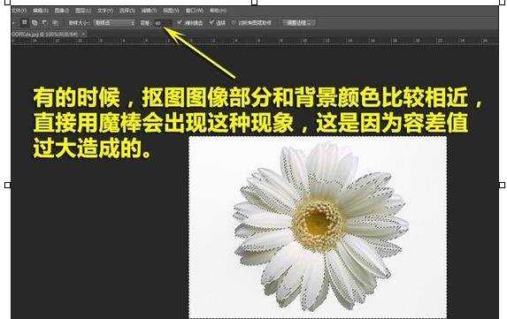 怎么用PS的魔棒工具抠图