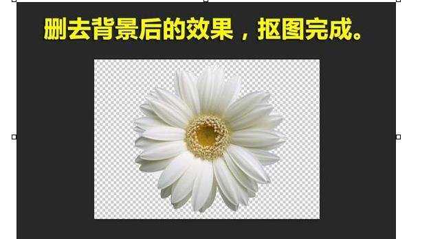 photoshop高级抠图技巧教程