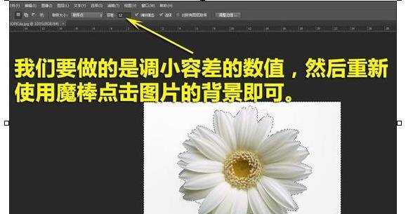 photoshop高级抠图技巧教程