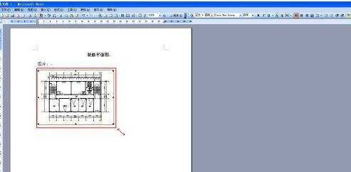 cad2010如何导入到word