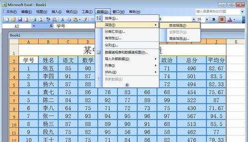 EXCEL的自动筛选功能详解