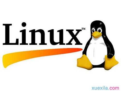 linux怎么看内存大小