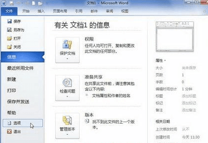 Word2010文档打印格式