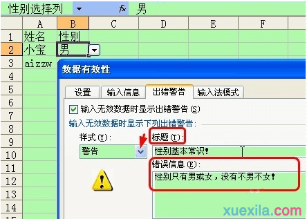 如何为Excel工作表设置表格定义?