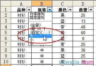 excel2003表筛选的教程