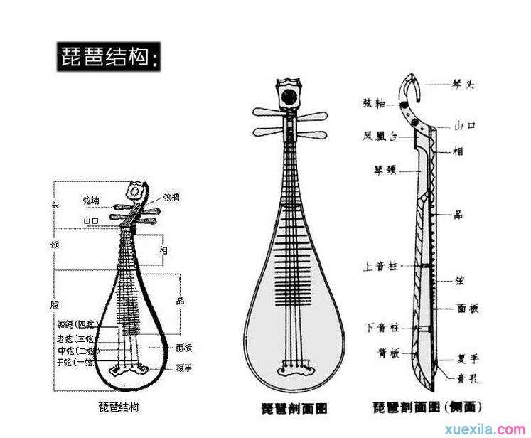 沧海一声笑琵琶曲